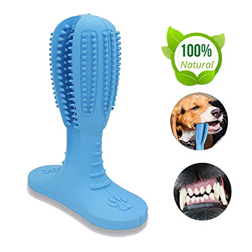 LAROSA MEDICAL Dog Chew Toothbrush - 2019 Upgraded Dog Toothbrush Toy - Safe, Non-Toxic and Durable Dog Toothbrush Stick - Best Dog Toothbrush