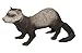 Toob Safari Incredible Creatures Ferret Miniature (Multicolor)