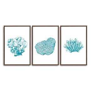 3 Piece Framed Canvas Wall Art Simple Seabed Elements Canvas Prints Home Artwork Decoration for Living Room,Bedroom - 16"x24"x3 Panels