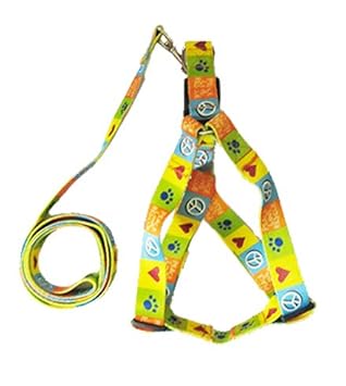 Sage Square Durable & Adjustable Dog Nylon Harness & Leash Rope Set for Small & Medium Dogs (0.75
