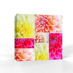 Canvas Wall Art Beautiful Flowers Pictures Home Wall Decorations for Bedroom Living Room Paintings Canvas Prints Framed - 12x12 inches