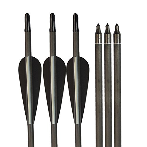 Archery 28 Inch Carbon Arrow Spine 400 Practice Hunting Arrows with Removable Tips for Compound & Recurve Bow (Pack of 6