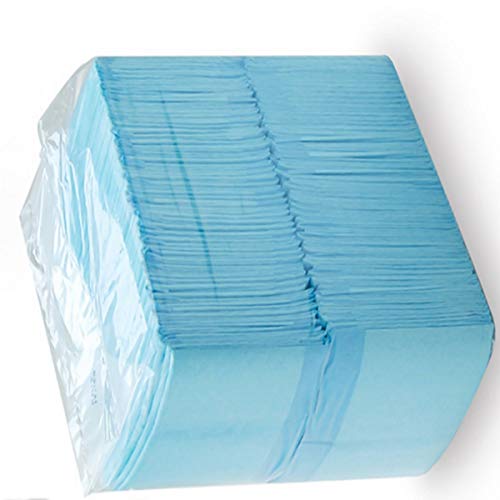 Ruiqas Pet Puppy Training Pads Thickened Piddle Absorbent Leak-Proof Urine Holder - 100Count - Thumbnail 7