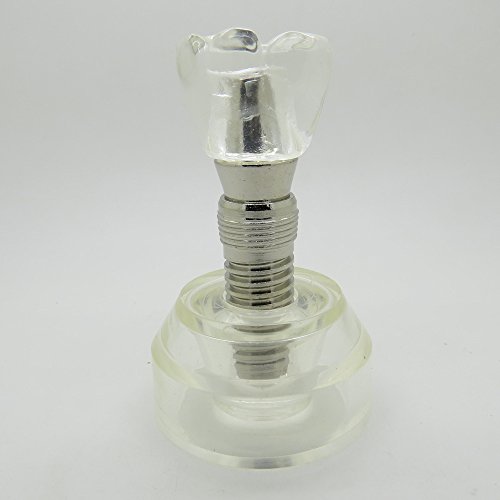 4 Dentalmall+Pc+Dental+Model+2020