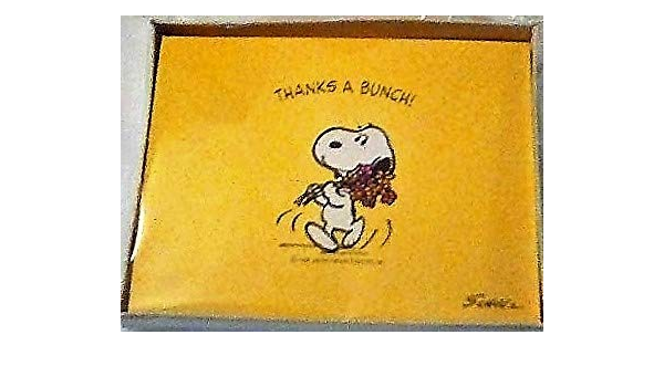 Amazon Com Vintage Peanuts Snoopy Thank You Cards Notes Unopened Package Office Products