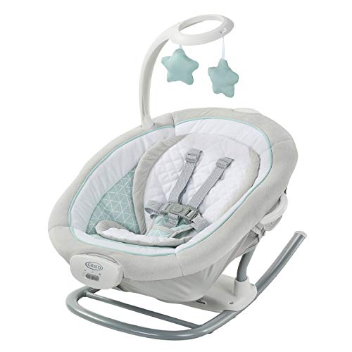Graco Duet Glide Gliding Swing with Portable Rocker, Winfield , 17