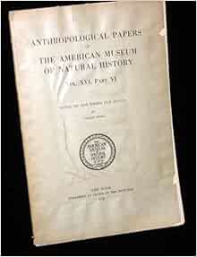 Sun dance essay 05 image