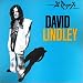 David Lindley Your Old Lady