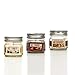Hosley Set of Three 4 Ounce Mason Jar Candles - Your Choice of Fragrances (F-Assorted)