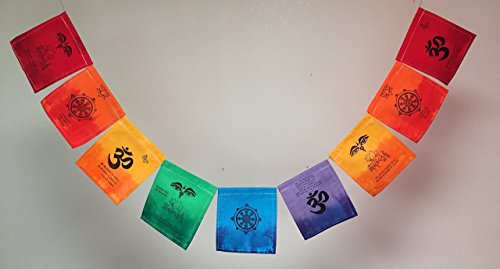 Tibetan Buddha Eyes, Om Mani Padme Hum prayer flags. Flags have a quote from the Dalai Lama.