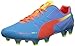 PUMA Men's Evospeed 1.2 SL Firm Ground Soccer Shoe