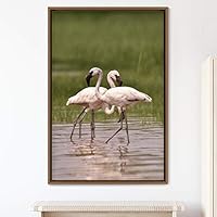 Framed Canvas Wall Art Group of Birds Beach Birds Expressive Group Multicolor Photography - 16x24 inches