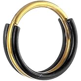 Niaspi 16G G23 Titanium Nose Septum Rings for Women Men Hypoallergenic Septum Jewelry Black Hoop Nose Rings Hinged Segment Hoops Conch Helix Cartilage Earrings Body Piercing Jewelry 8mm 10mm