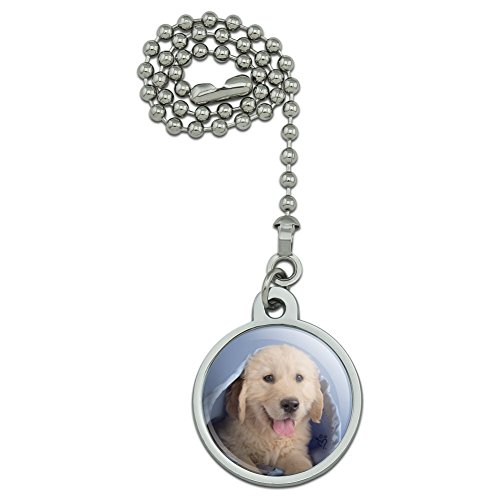 Golden Retriever Puppy Dog Wrapped in Blanket Ceiling Fan and Light Pull Chain