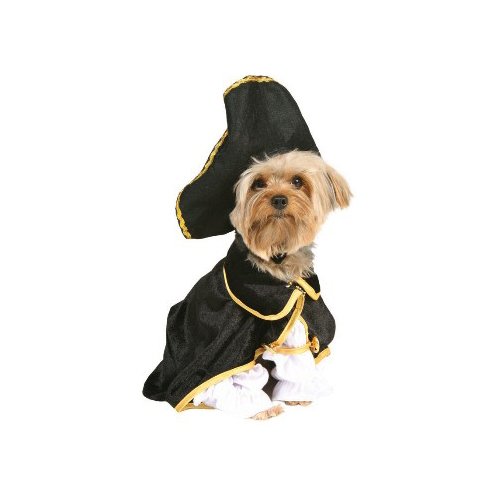 Pirate Dog Halloween Costumes Best Costumes for Halloween