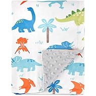 HOMRITAR Baby Blanket for Kids Super Soft Minky Blanket with Dotted Backing, Toddler Blanket with Dinosaurs Multicolor Printed 30'x40'(75x100cm)
