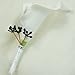 Lily Garden Artificial Flower Calla Lily Boutonniere Corsage with Ribbon (Purple Center Berry)