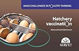 Image de Main challenges in poultry farming. Hatchery vaccination