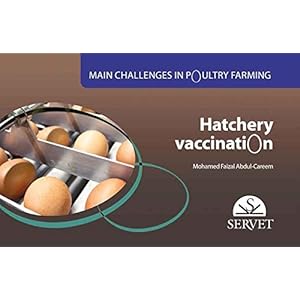 Main challenges in poultry farming. Hatchery vaccination