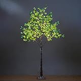 Lightshare 6FT Lighted Eucalyptus Tree 270 Warm