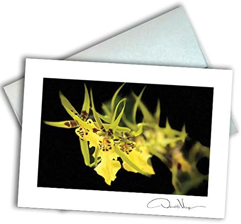 Single Yellow Flower Note Card. 3x5 Blank Card with Classy Envelope. Best Birthday Cards, Thank You Notes, Invitations. Unique Christmas, Mother's Day &amp; Valentines Gifts for Women, Men, Kids