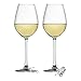 Luxtrip 18 pcs Wine Wine Tasting Party Decoration Supplies Gift Themed Wine Glass Charms Wine Lover and World Traveler Themes Wine Glass Charms Markers Drink Markers