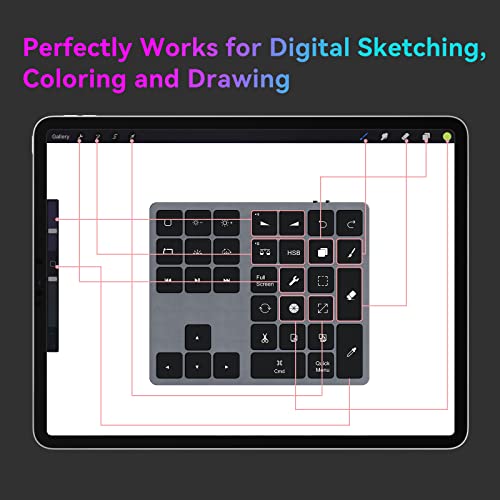 Doohoeek Backlit Buetooth Keypad for iPad Procreate, Rechargeable