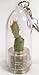 Goldy - Live Cacti Cactus Plant Miniature Terrarium Flower - Pet Plant - Boo-Boo Plant