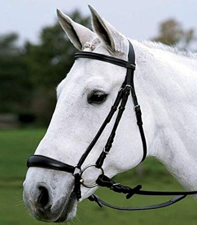 WALDHAUSEN STAR Trensenzaum Hannover, Warmblut, schwarz