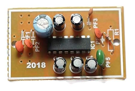 Electronicspices IC Audio Amplifier Circuit Board for: Amazon.in