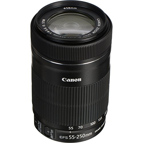 Canon EF-S 55-250mm f/4-5.6 IS STM Lens + 3 Piece Filter Set + 4 Piece Close Up Macro Filters + Lens Cleaning Pen + Pro Accessory Bundle - 55-250mm STM: Stepper Motor Lens - International Version