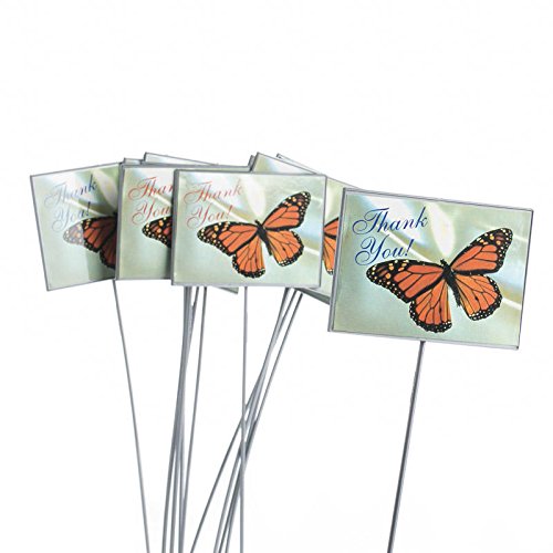 Factory Direct Craft Group of 12 Floral Embellishing Acrylic Butterfly 