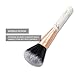 Marble Makeup Brush Set, Zodaca 10-piece Professional Stylish Eyeshadow Foundation Concealer Contour Cosmetic Travel Brush Kit with Wooden Handles