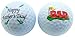Westman Works Fathers Day Golf Ball Novelty Gift Pack for #1 Dad Golfer, Set of 2