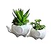 WISH HALLY WOOD Set of 2 Cute Elephant Flower Pot,Modern White Ceramic Succulent Planter Pots/Tiny Flower Plant Containers (Elephant)