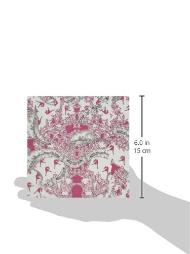 Aitoh RJR-04 Riggsbee Design Origami Paper, 6-Feet by 6-Inch, 20 Sheets