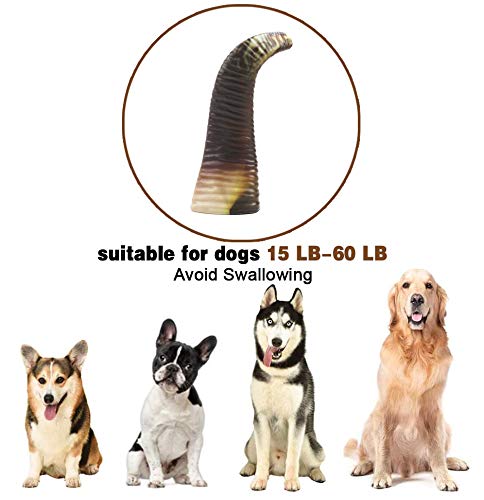 COPACHI Dog Chew Toys for Aggressive Chewers, Durable Dog Teething Chew Toys, Non-Toxic, Nearly Indestructible, Goat Horn Shape, for Large/Medium Breed Dogs, Beef Flavor