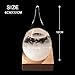 WELLDONE present Creative Stylish Desktop Drops Storm Glass Crafts Weather bottle Forecast Bottle Barometer(Mini-6 * 12)
