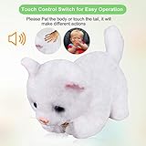 interactive cat robot