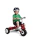 Radio Flyer All-Terrain Stroll 'N Trike Ride On
