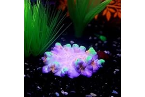 LPFLASAT 1Pc of Fluorescent Coral Decor Fish Tank Decor Accessories Aquarium Plants Coral Reef Decor Fish Tank Decorations White Coral Fake Coral Decorations Turtle Tank Accessories (D-Purple)