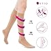 Fytto 1020 Opaque Compression Socks for Professionals 15-20 mmHg - Graduated Medical Support for Flight, Travel, DVT and Edema - Large, Nude