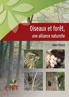 Oiseaux et forêt