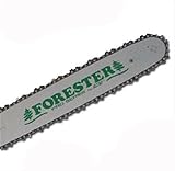 Forester 20