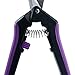 Apollo Horticulture Precision Straight Blade Pruner Shears for Gardening