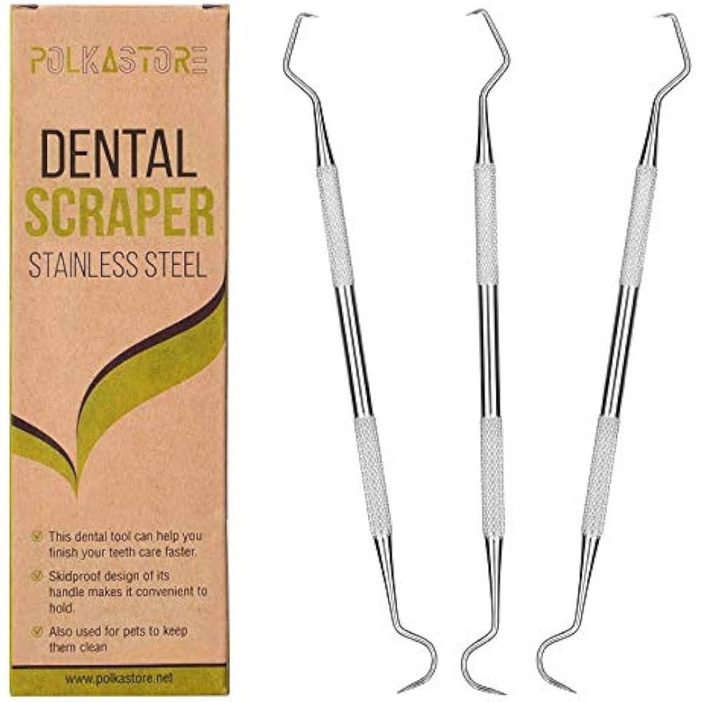 Professional Dental Scraper Tool Dentist Pick, 3Pack Medical Stainless Steel, eBay