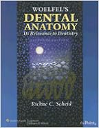 Woelfel`s Dental Anatomy- Its Relevance to Dentistry 7th EDITION
