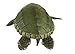 Safari Ltd Incredible Creatures Kemp's Ridley Sea Turtle