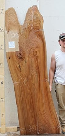 Live Edge Desktop Unfinished English Elm Natural Wood Slab Coffee