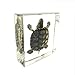Real Turtle Specimen Paperweights Specimen for Science Education Paperweight for Book for Office for Desk